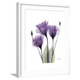 thumbnail image 1 of Art.com Purple Gentian Triplet Premium Giclee Print by Albert Koetsier, White Frame Wall Art, 23" x 29", 1 of 5