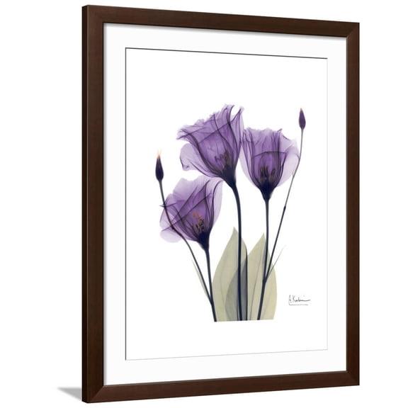 Art.com Purple Gentian Triplet Premium Giclee Print by Albert Koetsier, Brown Frame Wall Art, 32" x 40"