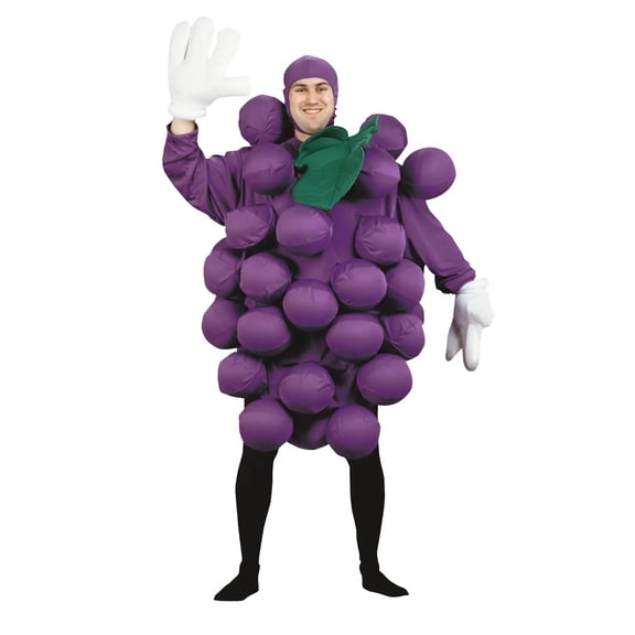 Purple Grapes Adult Halloween Costume