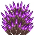 thumbnail image 1 of Purple Halloween String Lights Indoor Outdoor, 2 Pack 16 ft 50 LED Fairy Mini Battery String Light with 8 Lighting Modes & Timer for Halloween Garden Party Christmas Xmas Tree Lights Decor, 1 of 7