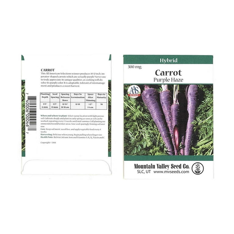 Purple Haze Hybrid Carrot Seeds - 300 mg Packet - Non-GMO