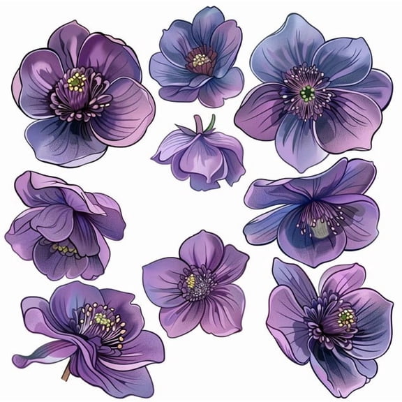 Purple Hellebores Flower Car Sticker. Waterproof Vinyl Floral Decal for Cars, Bumpers, Windows, Trunk etc. Aesthetic Botanical Weatherproof Sticker