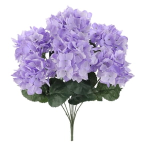 Purple Hydrangea Bush by Ashland