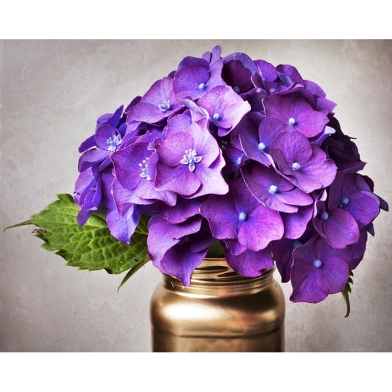 Purple Hydrangea Flowers And Leaf In A Copper Jar On A Gray Background by Lorna Rande / Design Pics