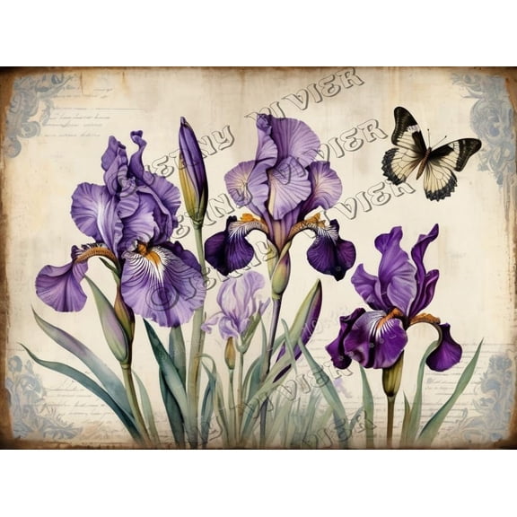 Purple Iris Flower Retro Aluminum Sign 12"x16" Metal Sign Iris Flower Bedroom Wall Art Country Kitchen Decor Tin Garden Signs for Cafes Club Pub Man Cave Wall Sign Gifts
