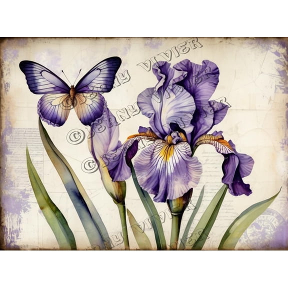 Purple Iris Flower Retro Aluminum Sign 12""x16"" Metal Sign Iris Flower Wall Decor Farmhouse Room Decor Tin Garden Signs for Cafes Club Pub Man Cave Wall Sign Gifts