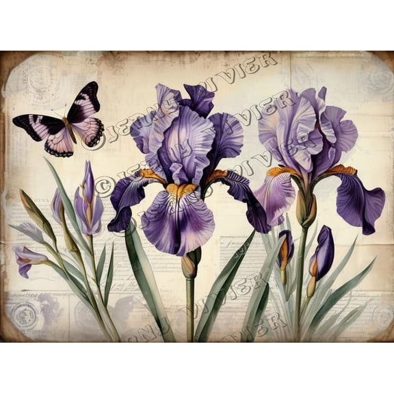 Purple Iris Flower Retro Aluminum Sign 5.5"x8" Metal Sign Iris Flower Office Wall Art Country Bathroom Decor Tin Garden Signs for Cafes Club Pub Man Cave Wall Sign Gifts