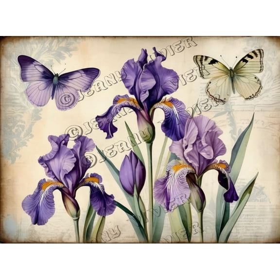 Purple Iris Flower Retro Aluminum Sign 5.5"x8" Metal Sign Iris Flower Wall Plaques Farmhouse Living Room Decor Tin Garden Signs for Cafes Club Pub Man Cave Wall Sign Gifts