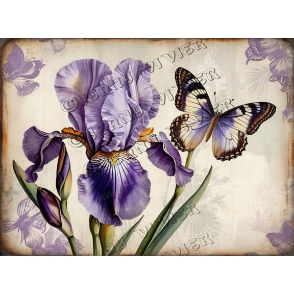 Purple Iris Flower Retro Aluminum Sign 5.5"x8" Metal Sign Iris Flower Wall Plate Farmhouse Home Decor Tin Garden Signs for Cafes Club Pub Man Cave Wall Sign Gifts