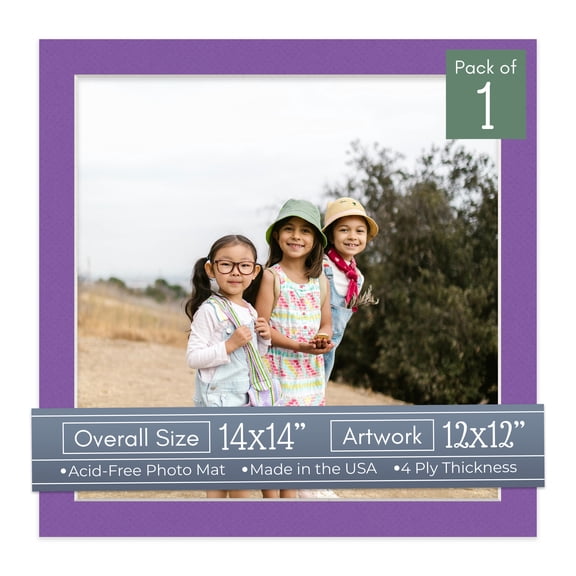 Purple Iris Picture Frame Mat for 14x14 Frames - Fits 12x12 Photos - 1 Mat