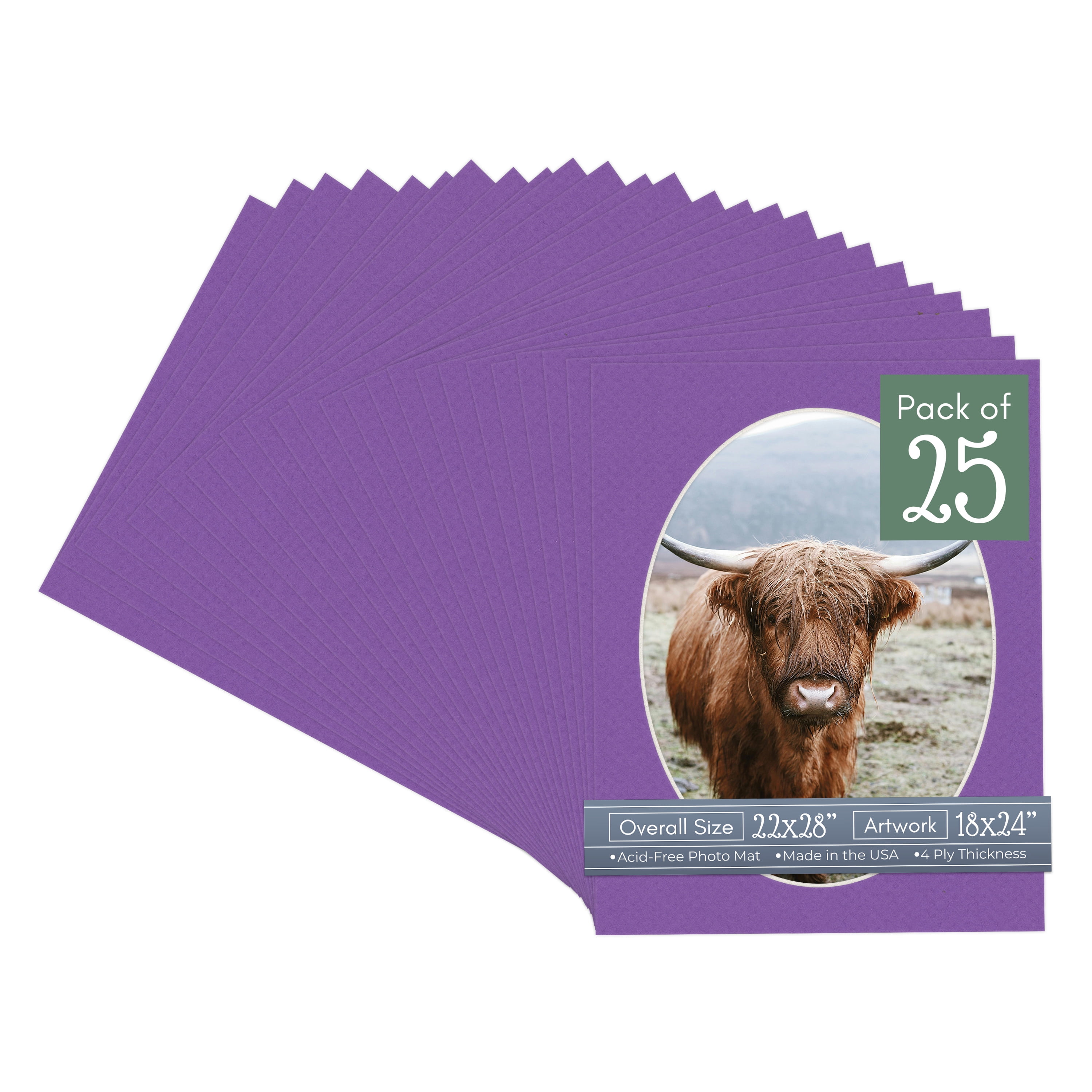 Purple Iris Picture Frame Mat for 22x28 Frames - Oval Opening for 18x24 Photos - 25 Mats