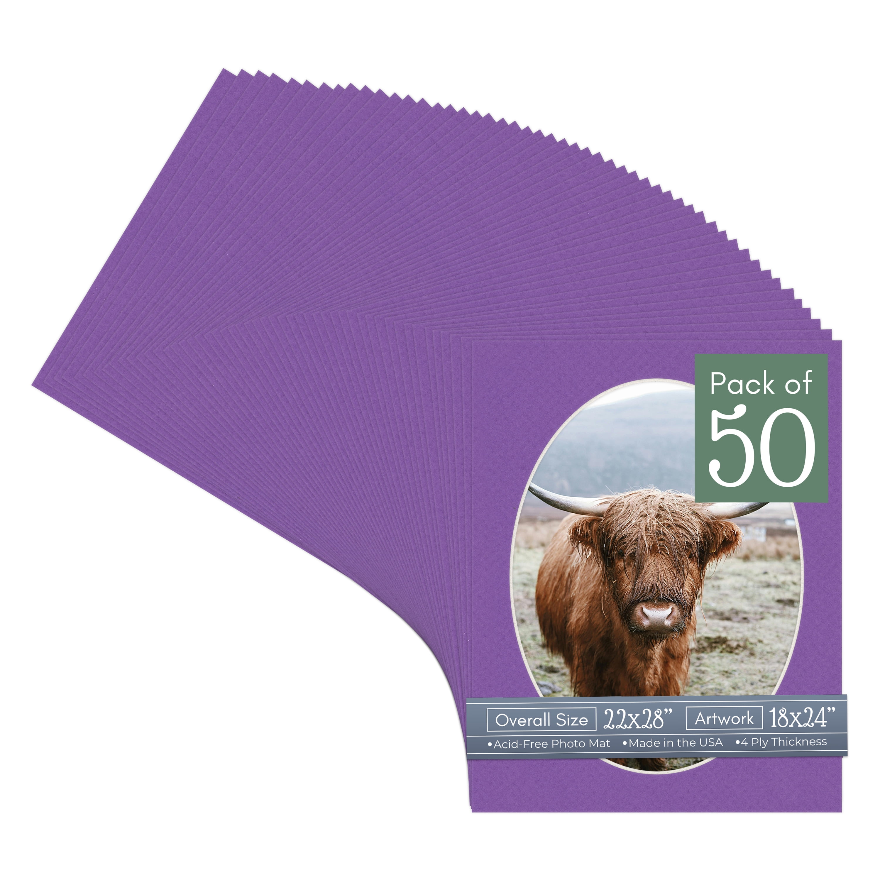 Purple Iris Picture Frame Mat for 22x28 Frames - Oval Opening for 18x24 Photos - 50 Mats