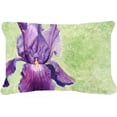 thumbnail image 1 of Purple Iris by Malenda Trick Fabric Decorative Pillow, 1 of 1