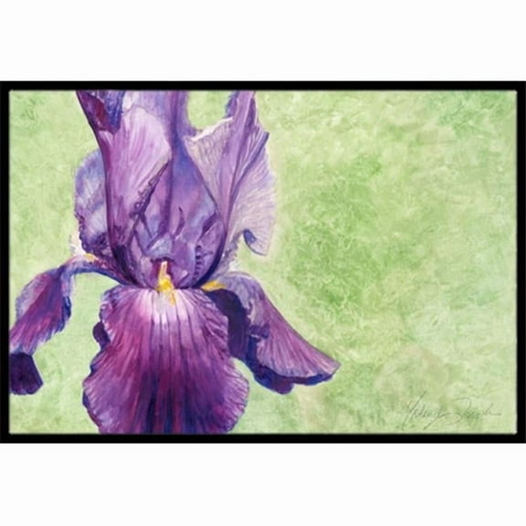 Purple Iris by Malenda Trick Indoor or Outdoor Mat, 24 x 36