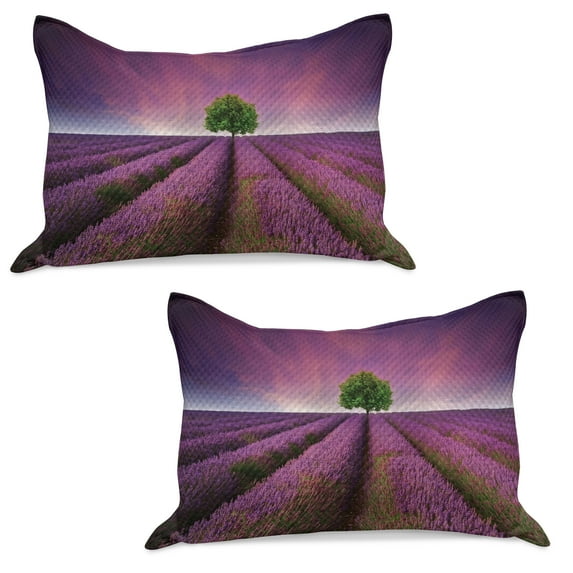 Purple Knitted Quilt Pillowcover Set of 2, Romantic Lavender Fields Panoramic View Print Tree and Violet Sky Picture, Standard Queen Pillow Sham Bedroom, 30" x 20", Purple and Green, by Ambesonne