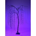 thumbnail image 1 of Purple LED Halloween Willow Tree 7', 1 of 1