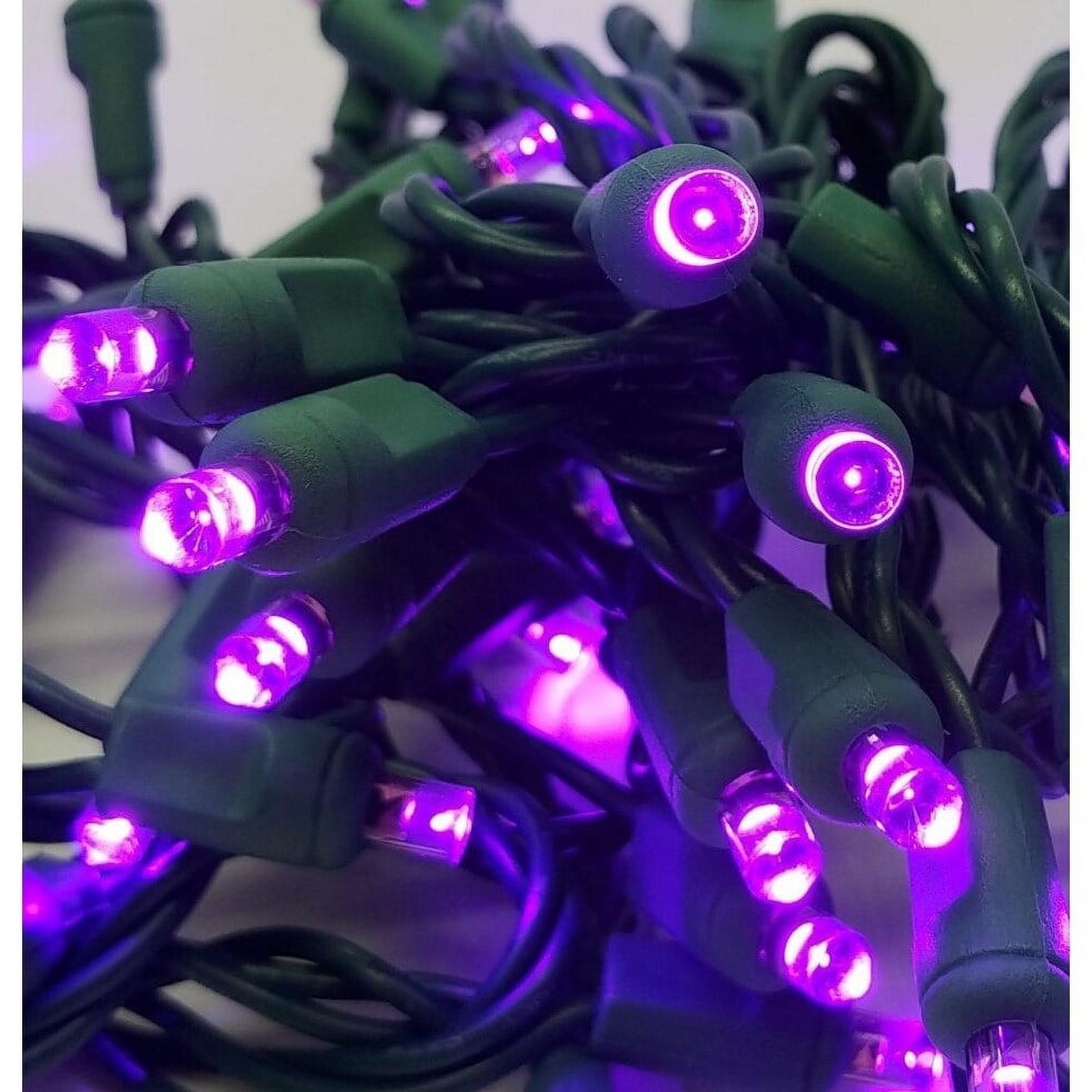 Purple LED Set of 70 Lights Light String 5MM