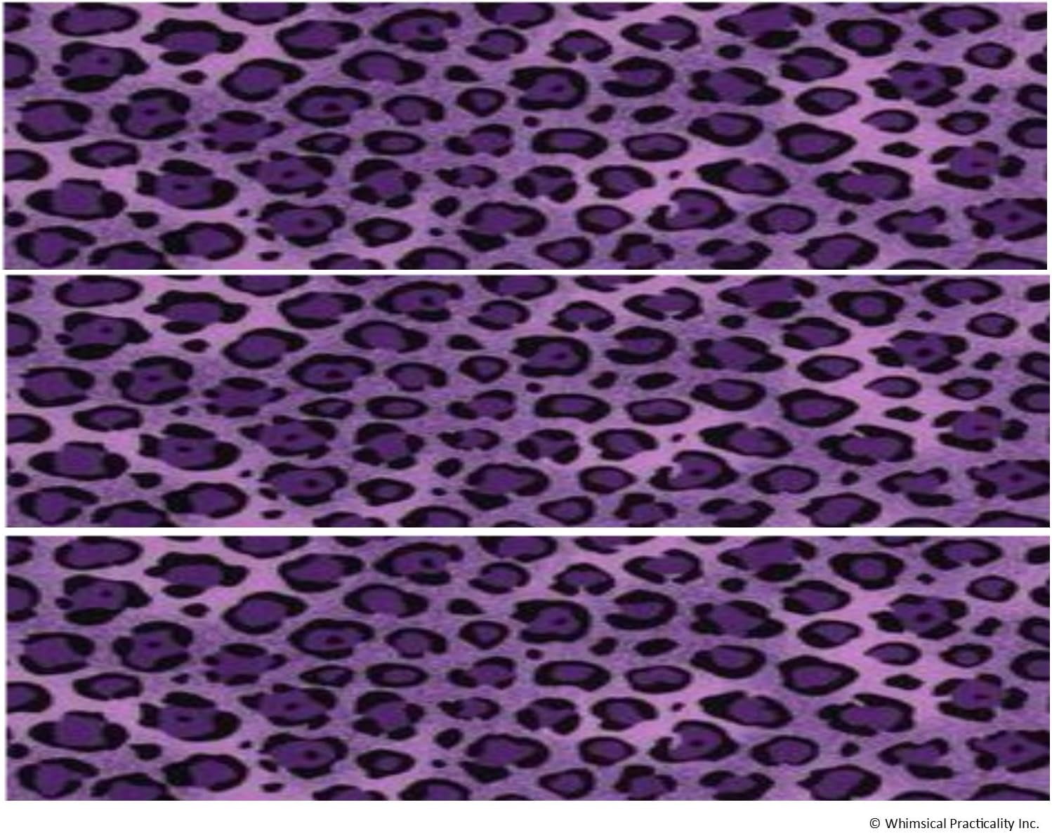 Purple Leopard Edible Icing Image Border Strips 3 Pk - Walmart.com, image size:1498x1186