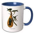 thumbnail image 1 of 3drose, Purple Martin by John James Audubon, 11oz Two-tone Blue Mug, 1 of 6