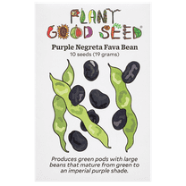 Plant Good Seed Organic Purple Negreta Fava Bean Seeds for Planting: Nitrogen Fixing, Edible, 10 Seed Packet