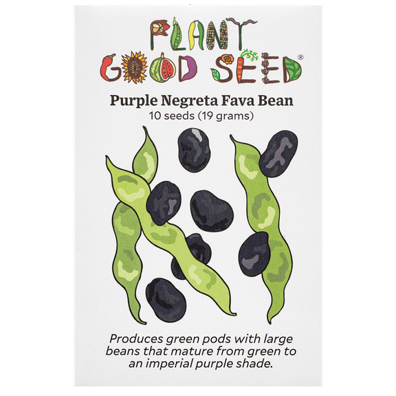 Plant Good Seed Organic Purple Negreta Fava Bean Seeds for Planting: Nitrogen Fixing, Edible, 10 Seed Packet