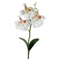 thumbnail image 1 of Purple Orchid Fake Flowers Fake Orchids Plastic Faux Orchid Plants Purple Phalaenopsis Orchids Arrangement Plants for Home Decor Indoor Table Decorations Party Decor, 1 of 8