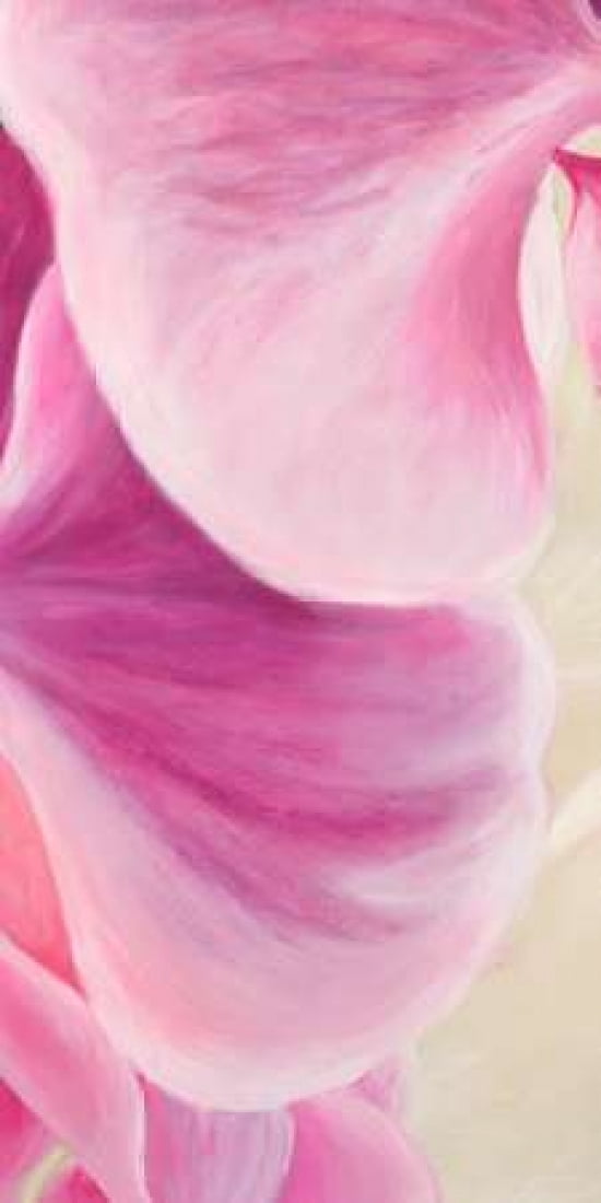 Purple Orchids II Canvas Art - Cynthia Ann (10 x 20)
