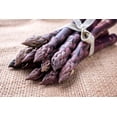 thumbnail image 1 of Purple Passion Live Asparagus Bare Root Plants - 2yr Crowns - (20 Crowns), 1 of 5
