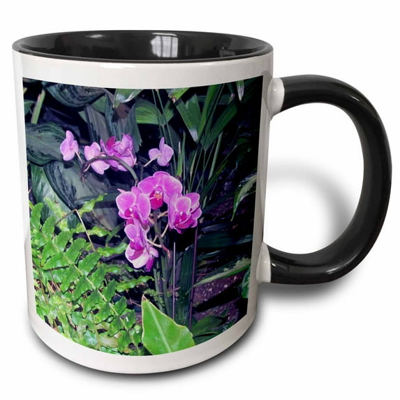 Purple Pearl Phal Orchids 11oz Two-Tone Black Mug mug-201550-4