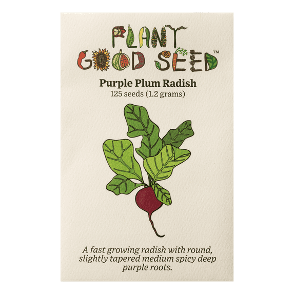 Purple Plum Radish Seeds