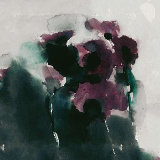 Purple Poppies Canvas Art - David Ross (24 x 24)