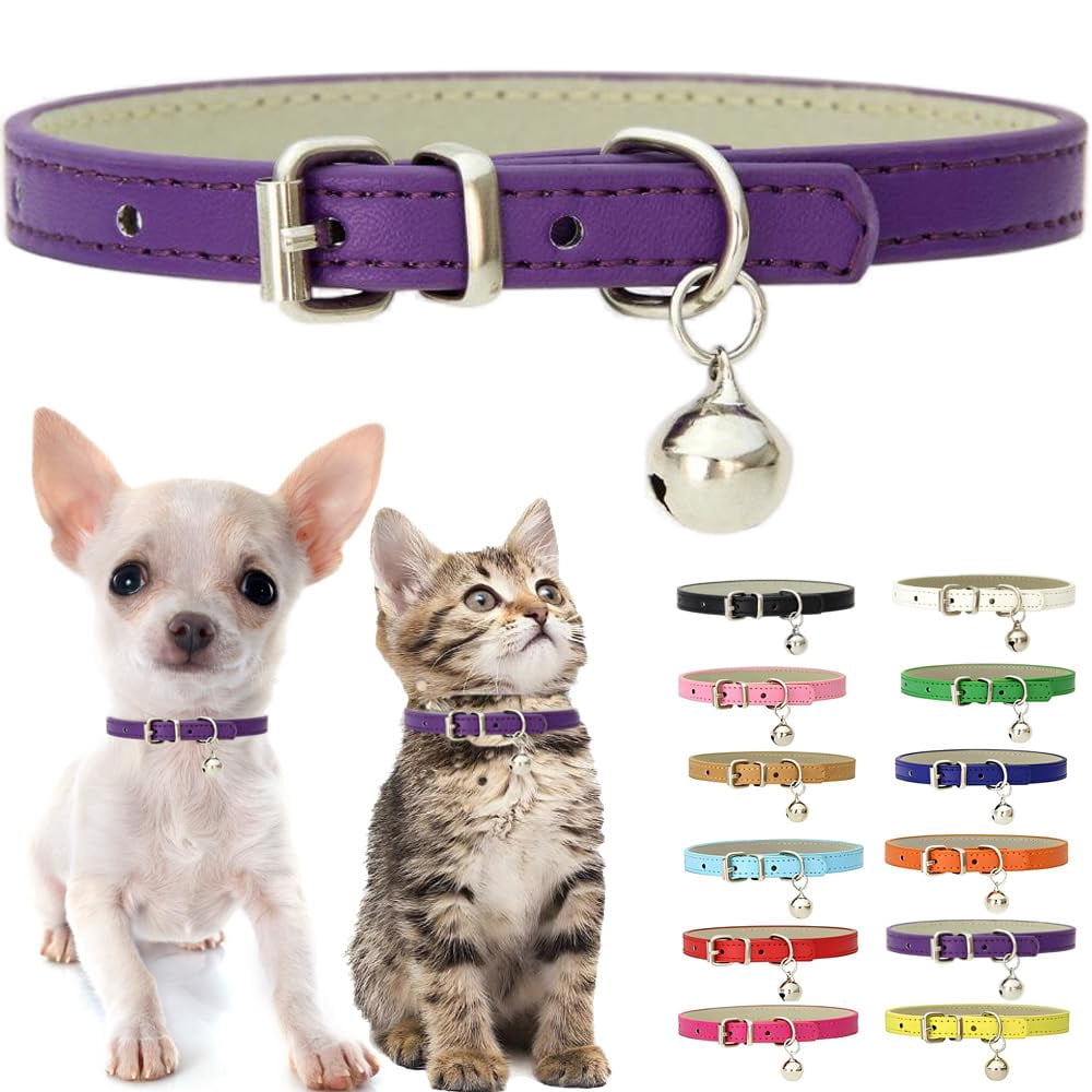 Teacup Chihuahua Collars
