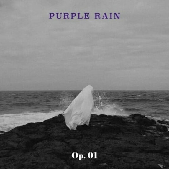 Purple Rain - Op. 01 (incl. Booklet) - Music & Performance - CD