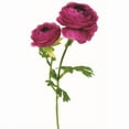 thumbnail image 1 of Purple Ranunculus Garden Stem Artificial Flower, 1 of 1