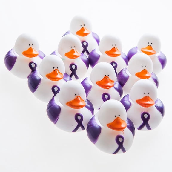 Purple RiBulletin Boardon RuBulletin Boarder Duckies - 12 Pieces