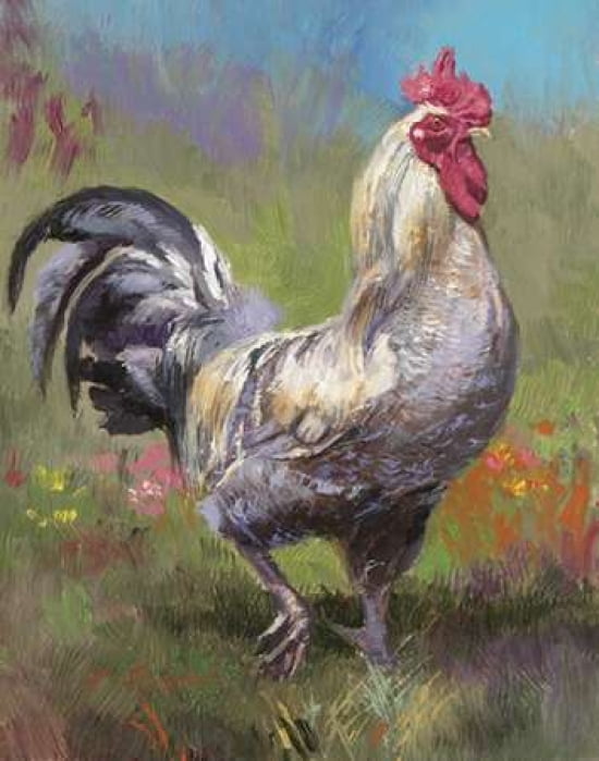 Purple Rooster Canvas Art - N Mirkovich (22 x 28)
