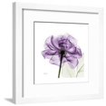 thumbnail image 1 of Purple Rose, Botanical Framed Art Print Wall Art by Albert Koetsier Sold by Art.Com, 1 of 6