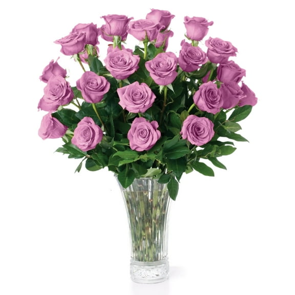 Purple Roses Fresh Flowers Delivery - 2 Dozen Roses for Delivery/Farmhouse Flowers for Delivery - Fresh Cut Long Stem Roses Bouquet of Flowers Birthday Gifts for Women -Aquarossa Farms