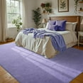 thumbnail image 1 of Purple Rug for Bedroom Living Room, 5x7 Feet Memory Foam Soft Modern Indoor Fuzzy Shaggy Area Rugs, Low Pile Carpet for Kids Room Nursery Home Decor, 1 of 7