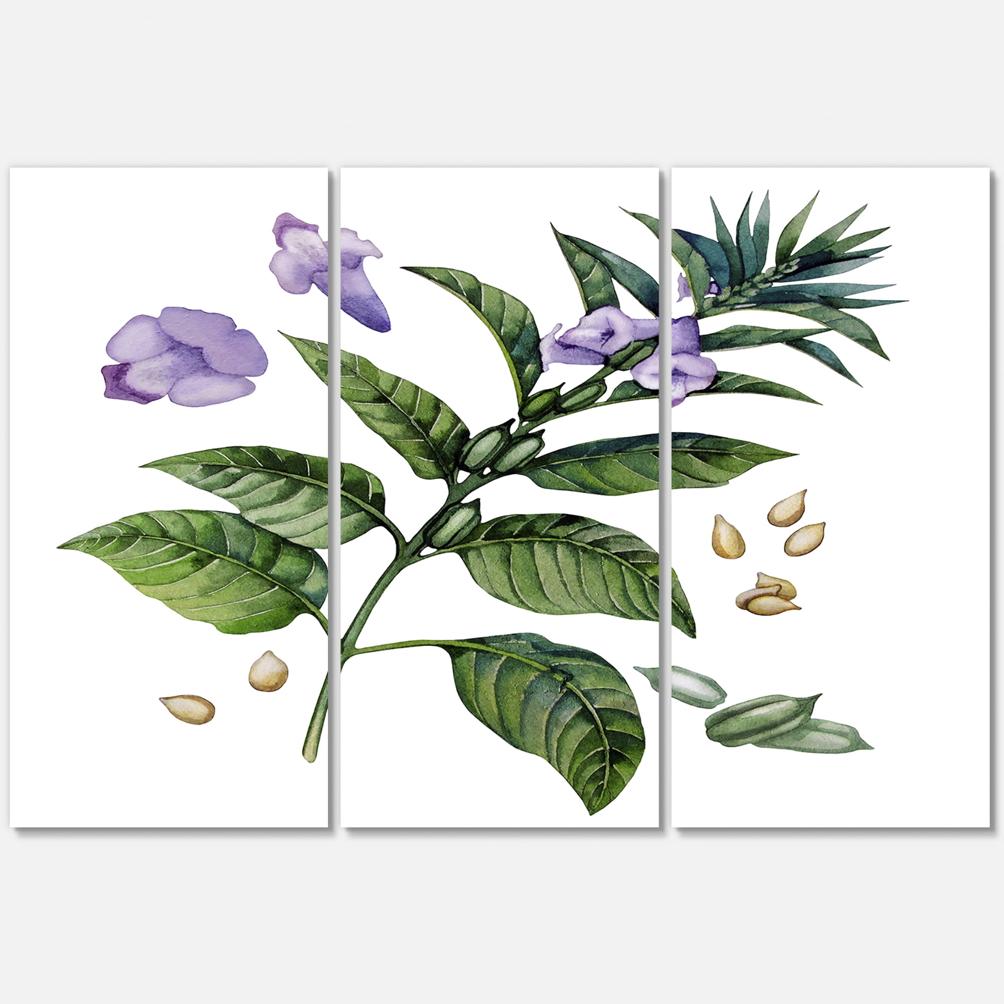 Purple Sesame Flowers WIth Green Leaves On White 28 in x 36 in Painting Canvas Art Print, by Designart
