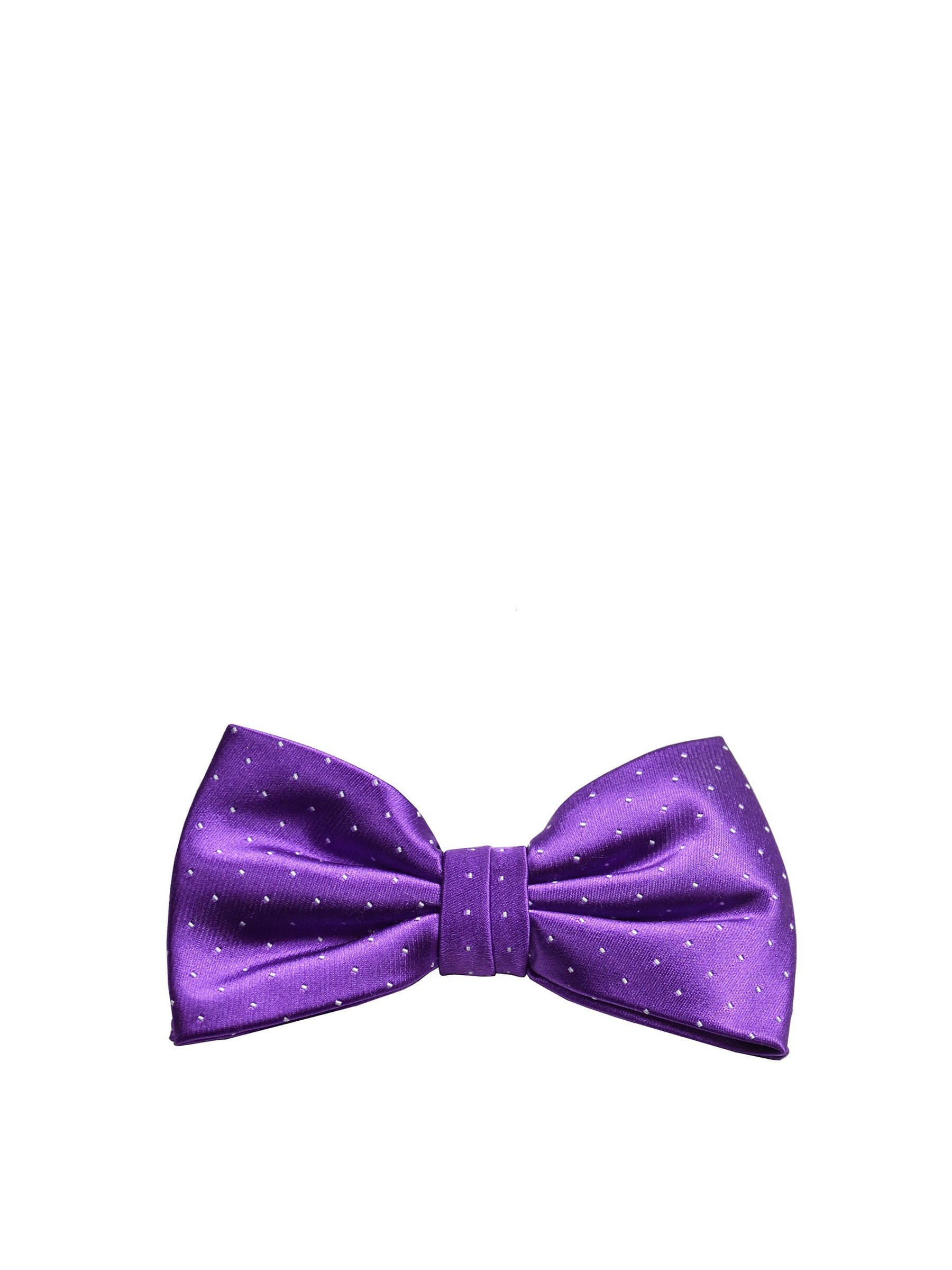 Purple Embroidered Shantung Silk Bow Tie main image 1