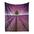 thumbnail image 1 of Purple Soft Flannel Fleece Throw Blanket, Romantic Lavender Fields Panoramic View Print Tree and Violet Sky Picture, Cozy Plush for Indoor and Outdoor Use, 60" x 80", Purple and Green, by Ambesonne, 1 of 6