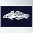 thumbnail image 1 of Purple Spotted Gudgeon White Design Poster Wall Art, Modern Wall Decor For Living Room Bedroom, 16x24 UNFRAMED, 1 of 3