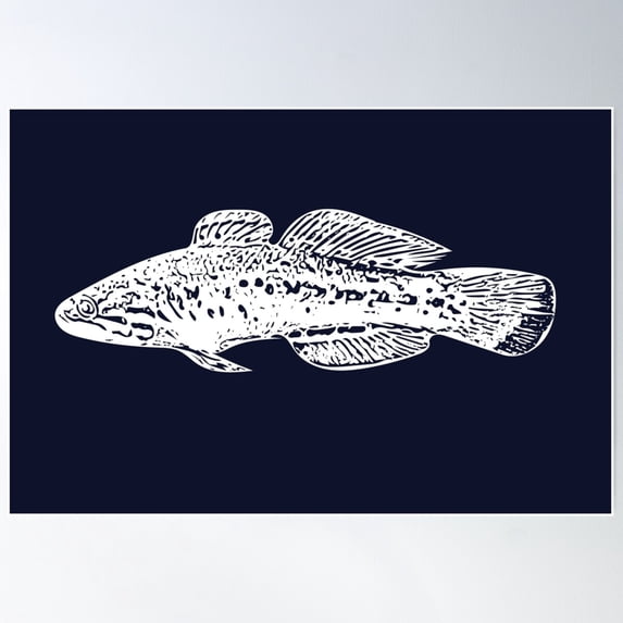 Purple Spotted Gudgeon White Design Poster Wall Art, Modern Wall Decor For Living Room Bedroom, 16x24 UNFRAMED