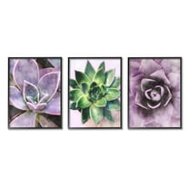 Purple Sprouting Succulents Close Up Botanical & Floral Graphic Art Black Framed Art Print Wall Art, Set of 3