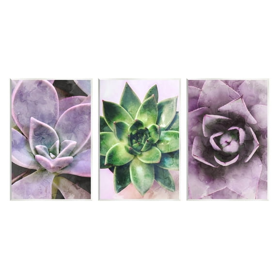 Purple Sprouting Succulents Close Up Botanical & Floral Graphic Art Unframed Art Print Wall Art, Set of 3