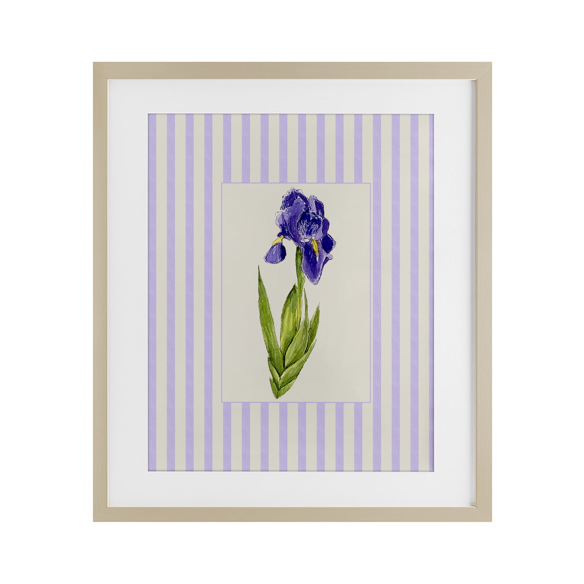 Purple Stripe Iris Birch Framed Print Under Glass, design by Lisa Wehmeyer