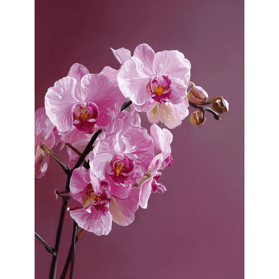Purple Striped Orchid Canvas Hotel Cafe Wall Decor
