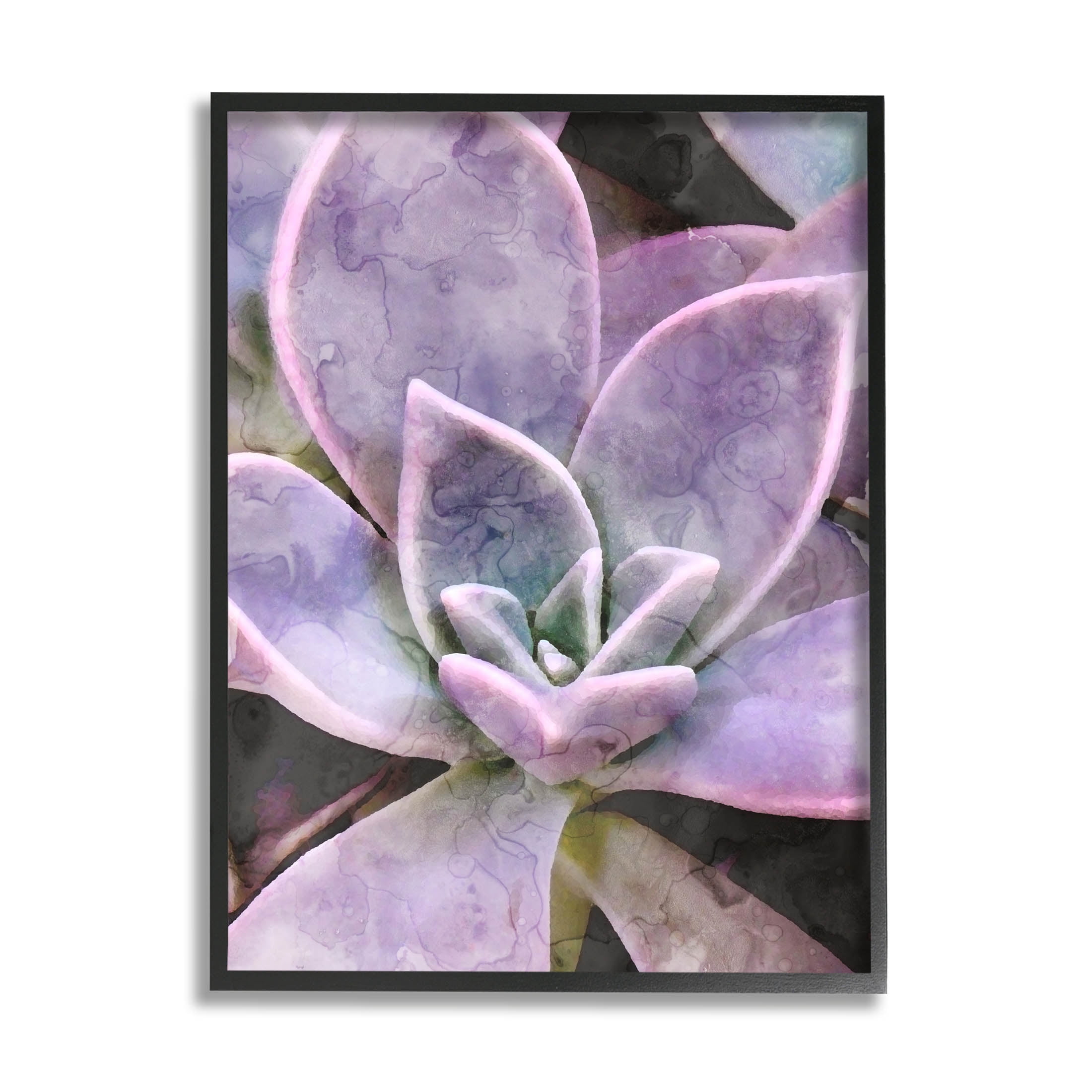 Purple Succulent Close Up Botanical & Floral Graphic Art Black Framed Art Print Wall Art