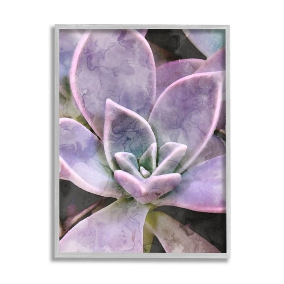 Purple Succulent Close Up Botanical & Floral Graphic Art Gray Framed Art Print Wall Art